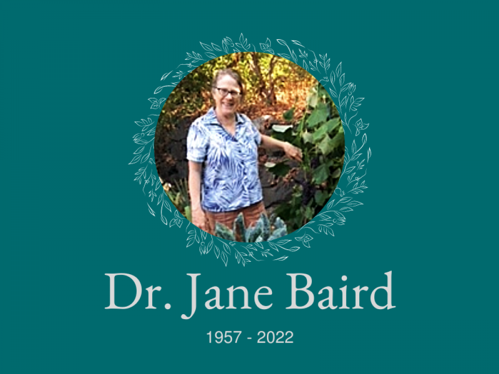Dr. Jane Baird v2