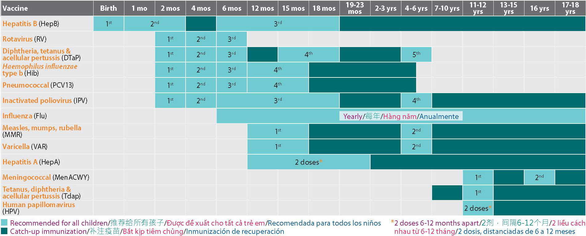 Immunization schedule