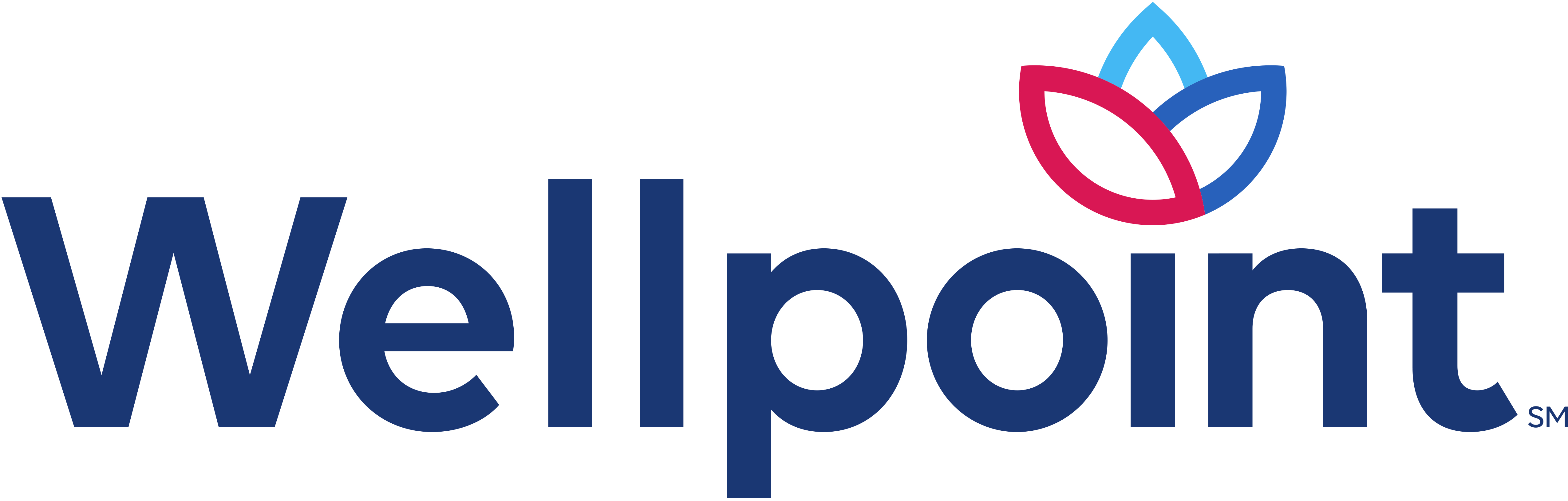 Wellpoint