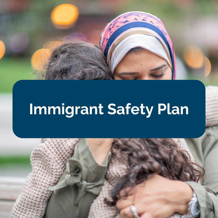 Immigrant Youth and Family Resources graphic