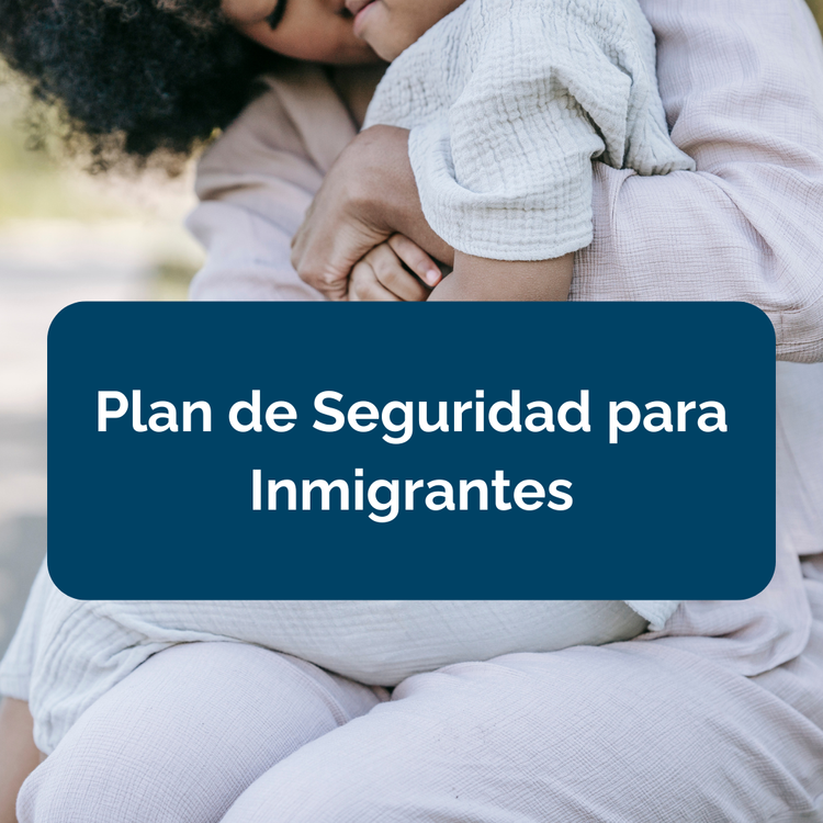 Immigrant Youth and Family Resources graphic
