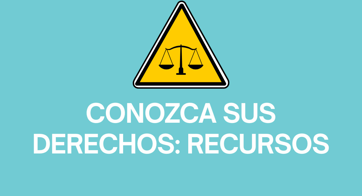 Know Your Rights Graphic Spanish
