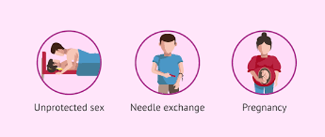 Illustration of three major ways Hepatitis B spreads, unprotected sex, needle exchange, and pregnancy