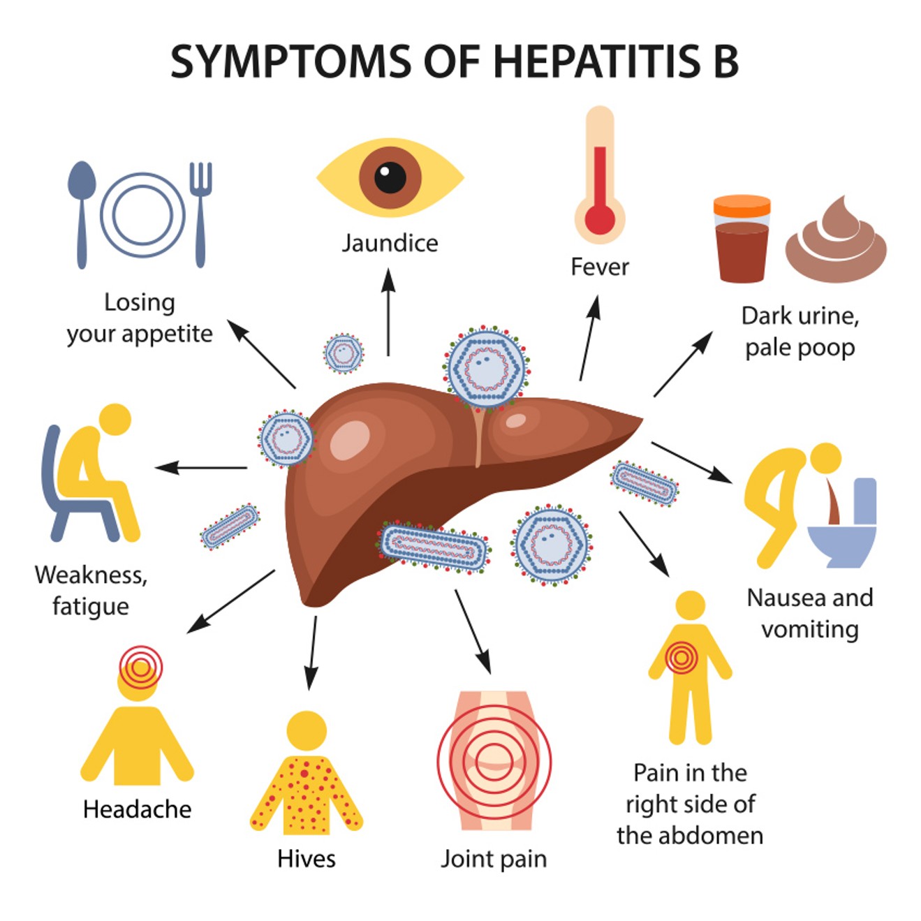 Graphic with multiple symptoms of Hepatitis B