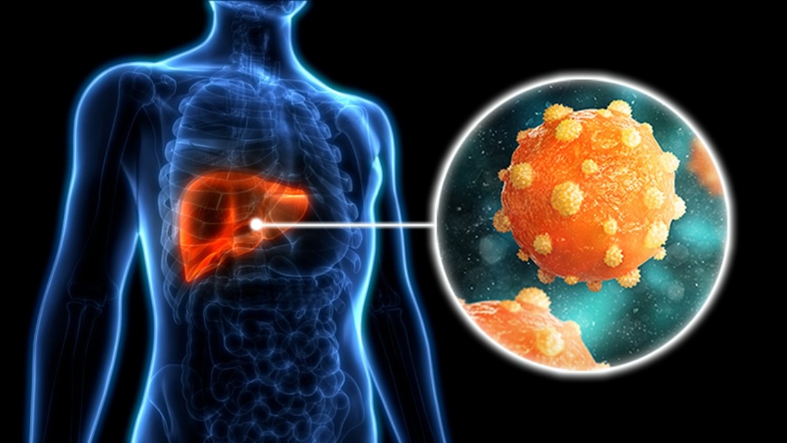 Illustration of Hepatitis B Vaccine